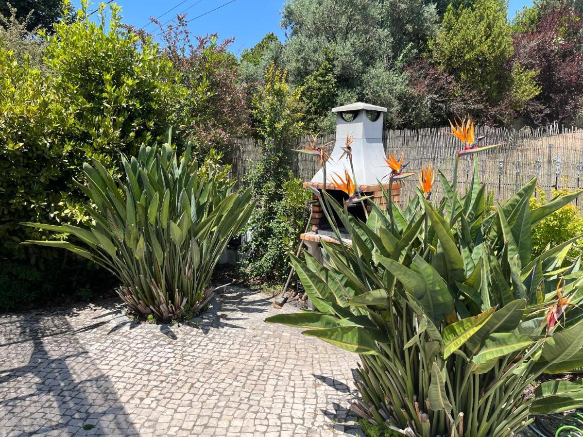 Casa Pausa Sesimbra Holiday Home Extérieur photo